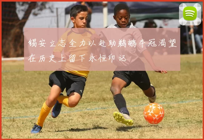 锡安立志全力以赴助鹈鹕夺冠渴望在历史上留下永恒印记